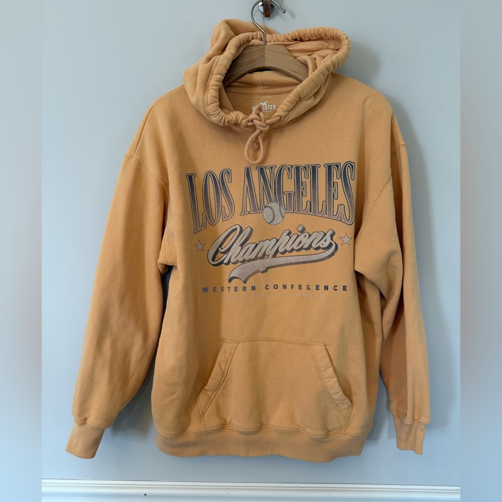 Hollister Los Angeles champion sweatshirt hoodie. S